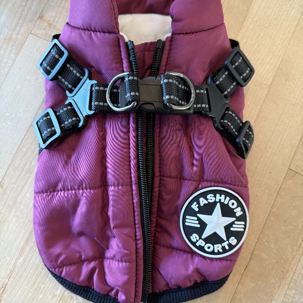 Small dog vest with harness